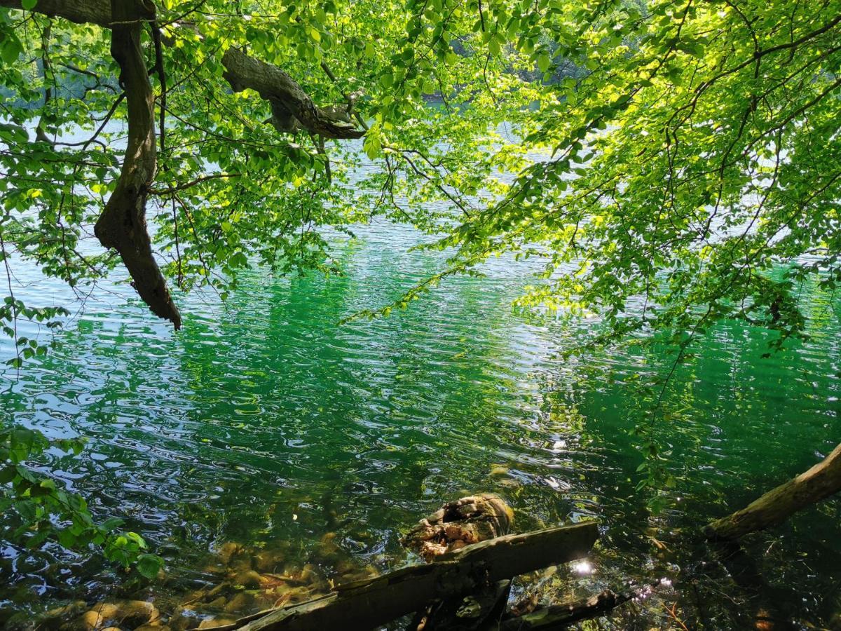 Tweet Tohuus Apartment Feldberger Seenlandschaft Bagian luar foto